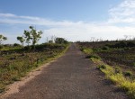 Sumba-Kodi (10)