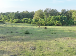 Jimbaran Land (3)