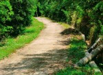 Golo Bilas (6)