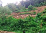 Golo Bilas (7)